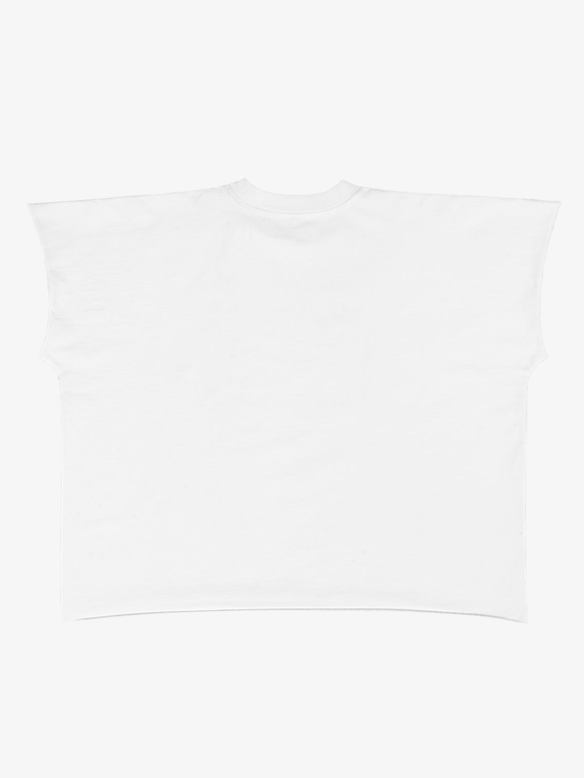 Fun Graphic Print Boxy Silhouette T-Shirt