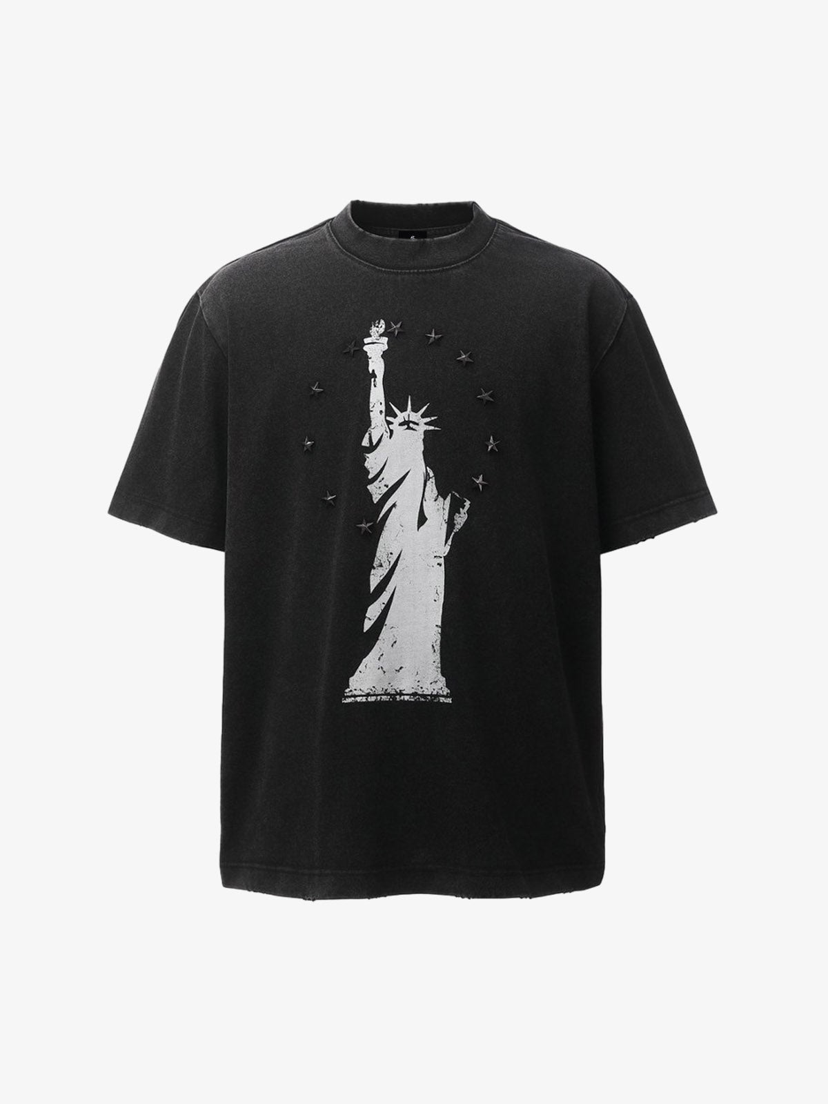 Statue of Liberty Print and Star Details T-Shirt