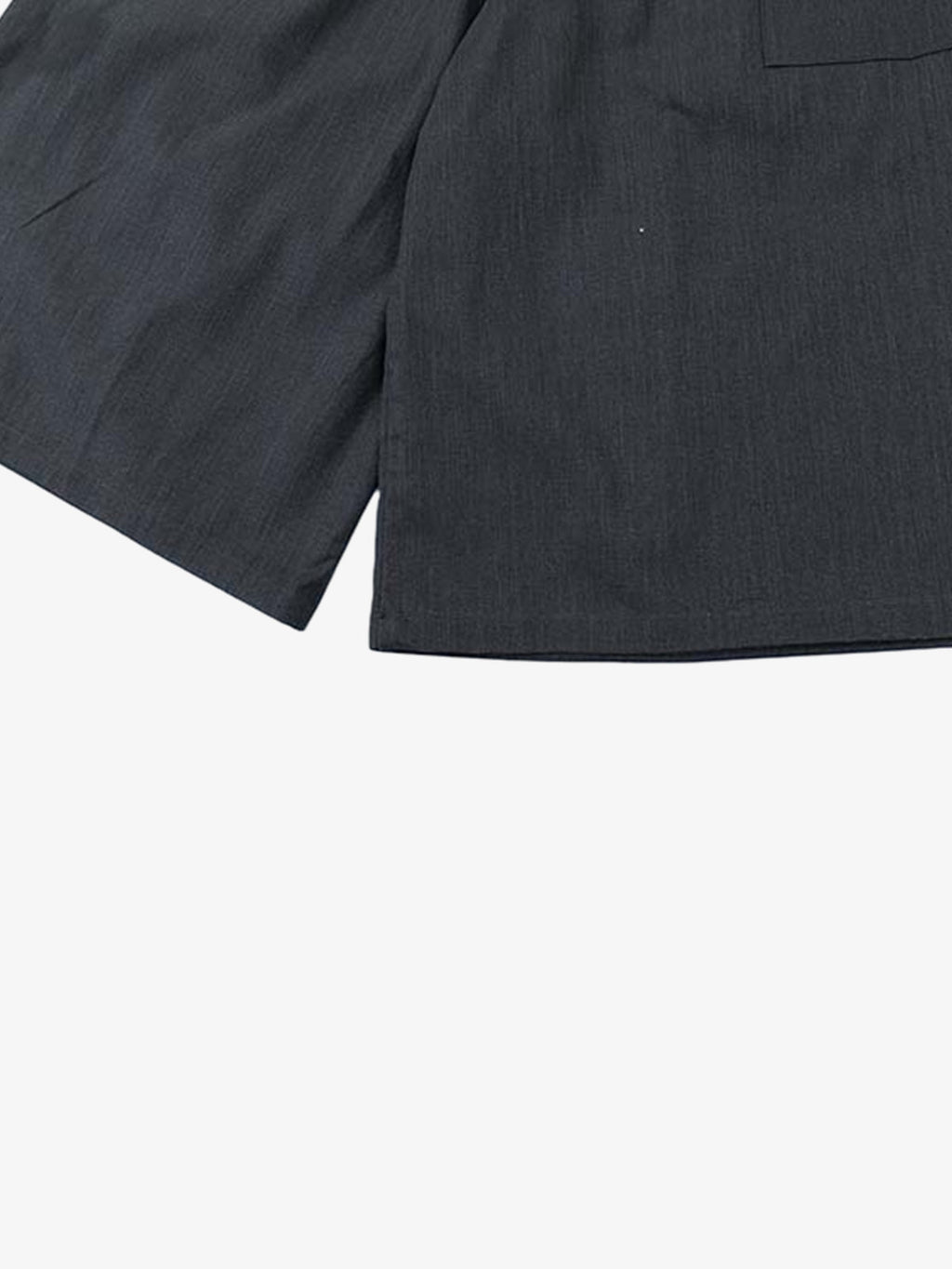 Pleated Wide Leg Jorts