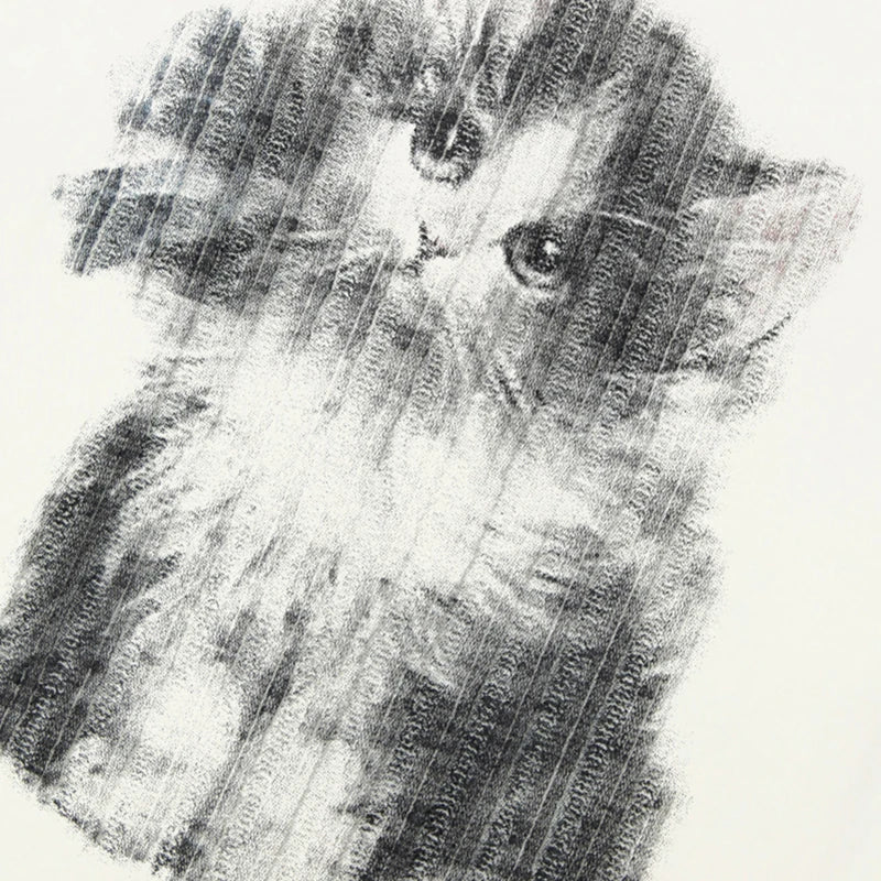 White Baby Cat Graphic T-Shirt — detail shot