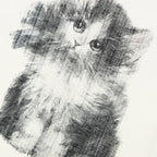 White Baby Cat Graphic T-Shirt — detail shot