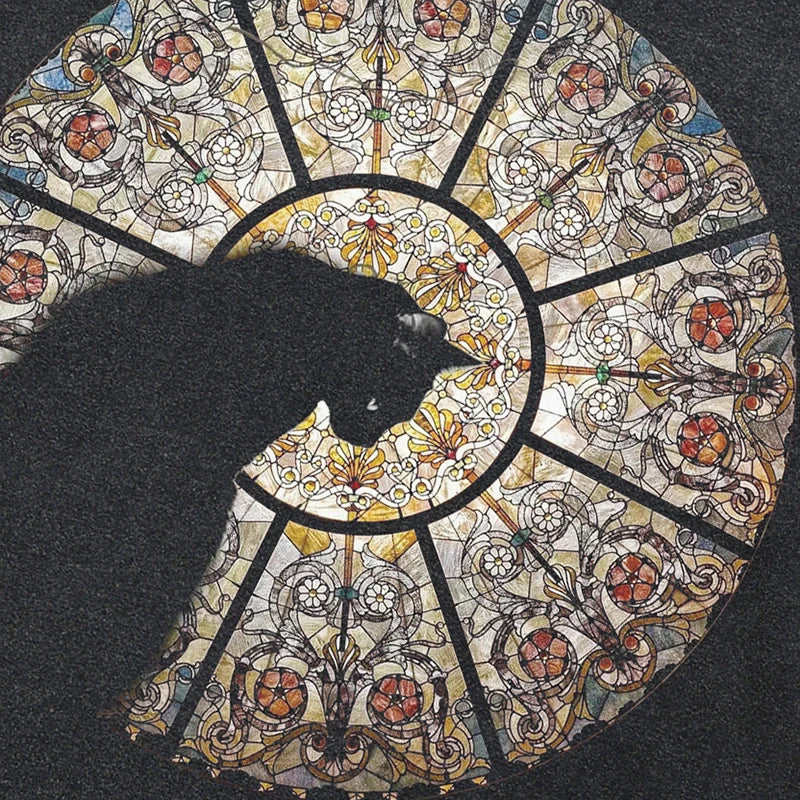 Vintage Black Cat Washed T-Shirt — front view