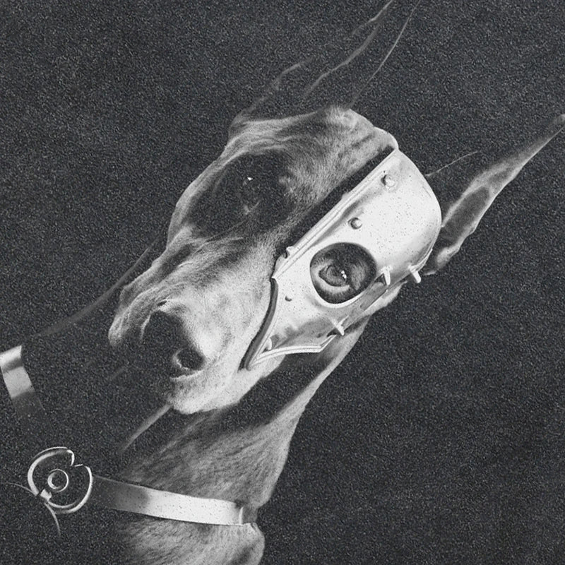 Mask Retro Black Doberman Dog Washed T-Shirt — back view