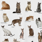 White Cats Graphic T-Shirt — fabric close-up