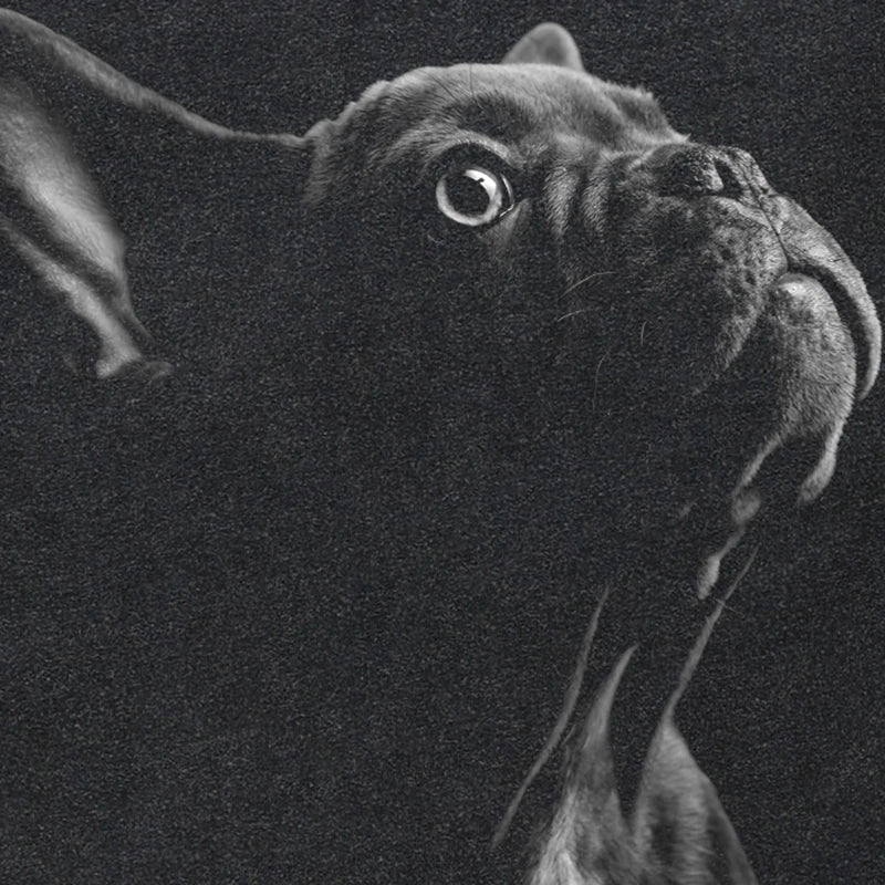 Washed Black French Bulldog Graphic T-Shirt — detail shot