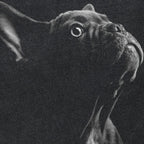 Washed Black French Bulldog Graphic T-Shirt — detail shot