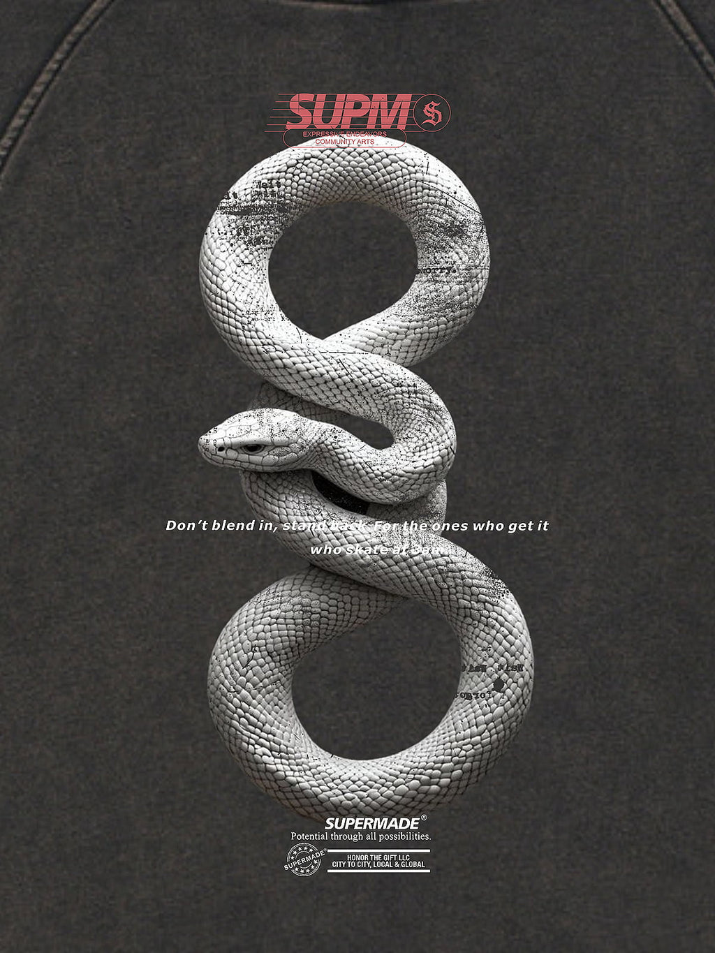 Vintage Washed Snake Appliqué Pullover Hoodie