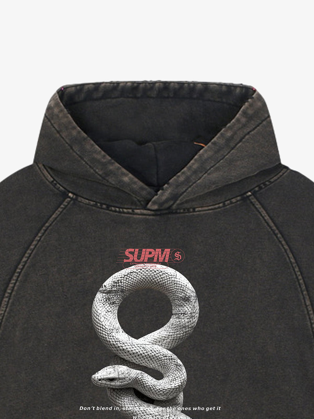 Vintage Washed Snake Appliqué Pullover Hoodie