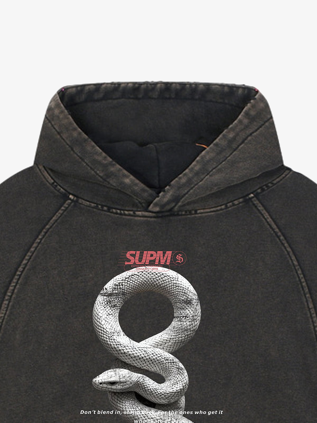 Vintage Washed Snake Appliqué Pullover Hoodie