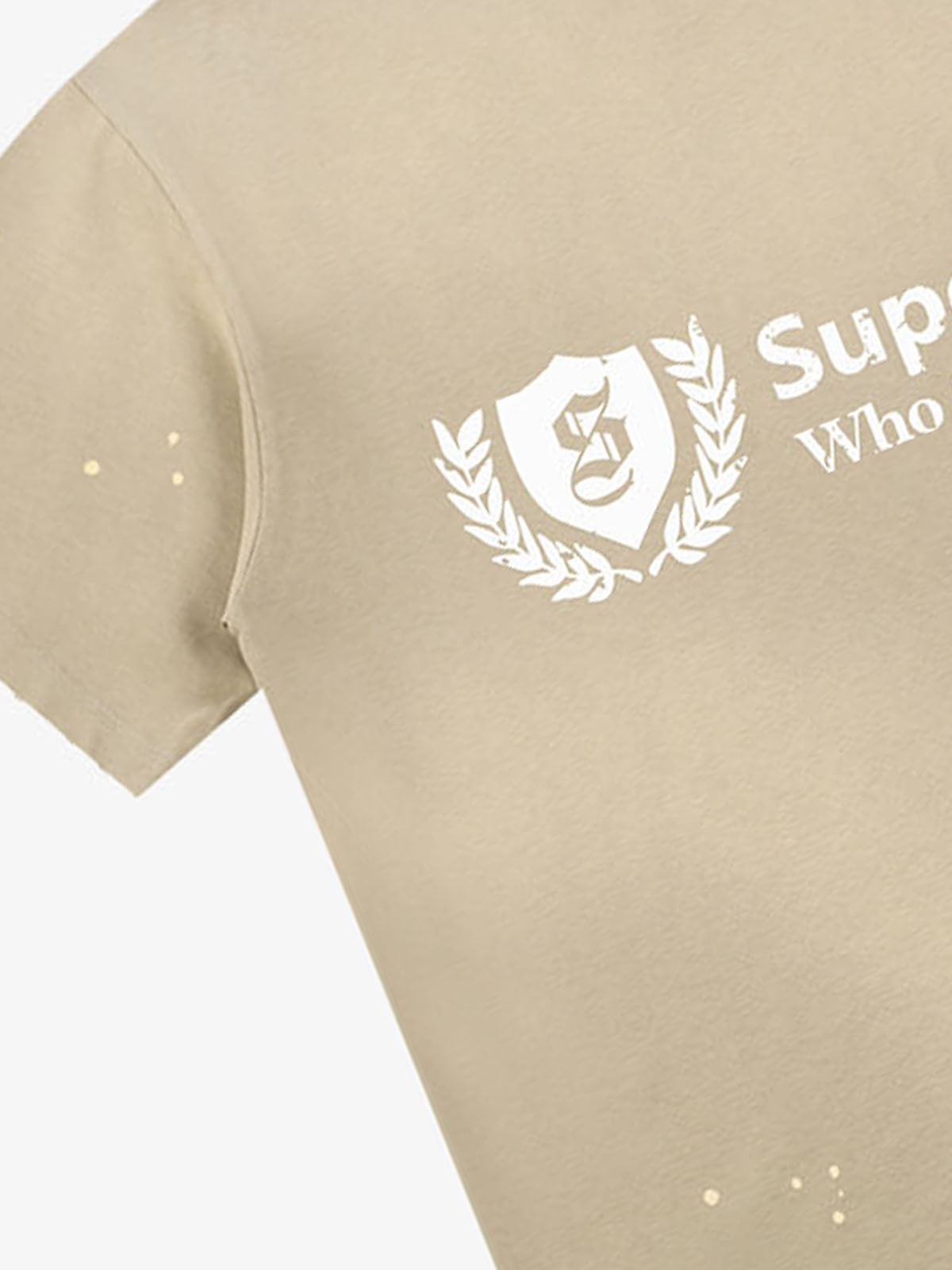 Vintage Washed precipice Crest Logo T-Shirt