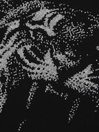 Tiger Graphic Star Sleeve T-Shirt