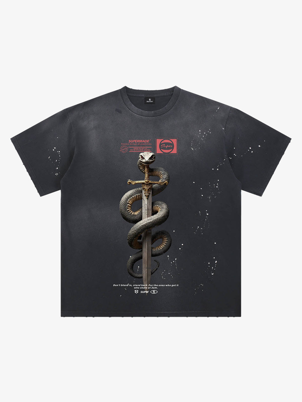 Snake and Sword Graphic T-Shirt