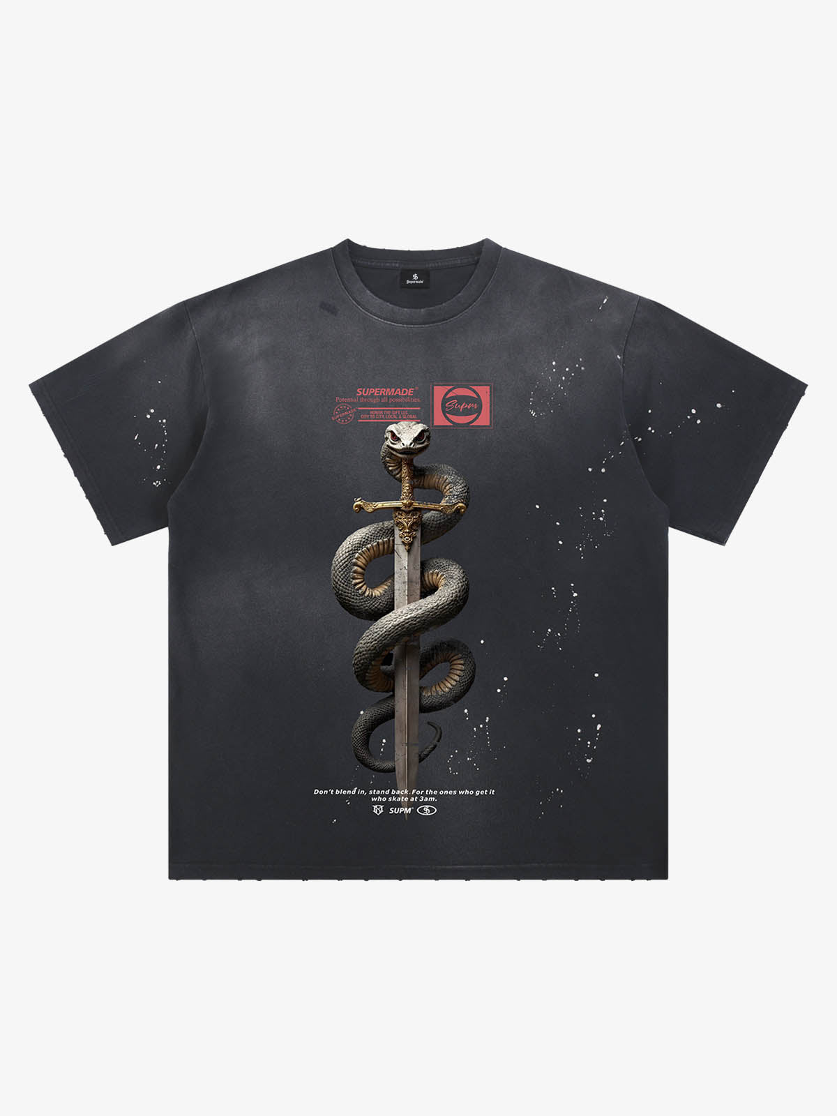 Snake and Sword Graphic T-Shirt